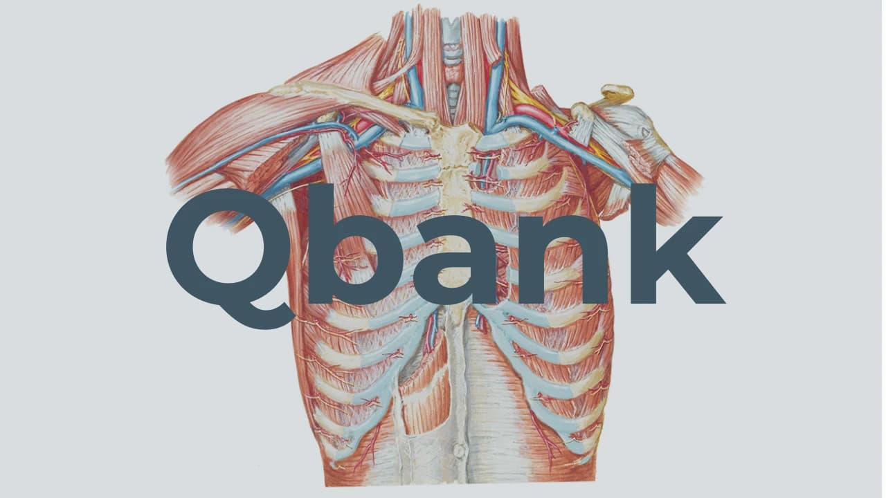 Thorax - Qbank